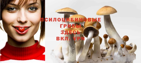 стаф Беломорск