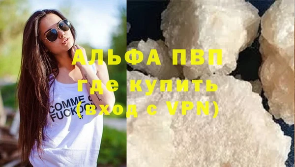 стаф Беломорск